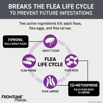 Flea & Tick Treatment For Small Dogs 5-22 lbs / 8 Weeks / 6 Doses