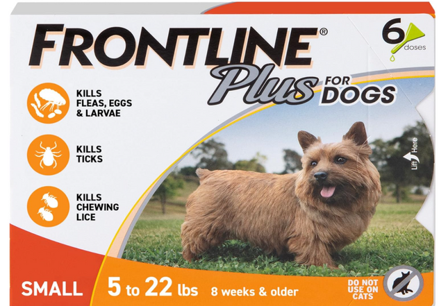 FRONTLINE Plus for Small Dogs (5–22 lbs) – Long-Lasting Flea and Tick Control, 6 Treatments
