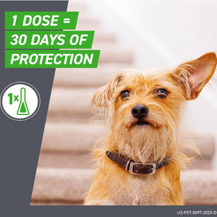 FRONTLINE Plus for Large Dogs (45–88 lbs) – Effective Flea and Tick Control, 6 Treatments