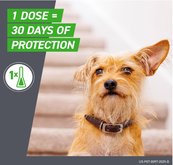 FRONTLINE Plus for Large Dogs (45–88 lbs) – Effective Flea and Tick Control, 6 Treatments