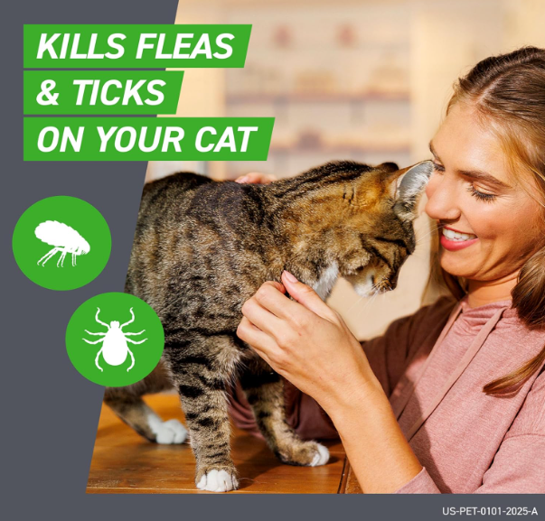 FRONTLINE Plus Flea and Tick Treatment for Cats Over 1.5 lbs. 6 Treatments
