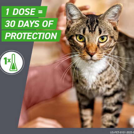 FRONTLINE Plus Flea and Tick Treatment for Cats Over 1.5 lbs. 6 Treatments