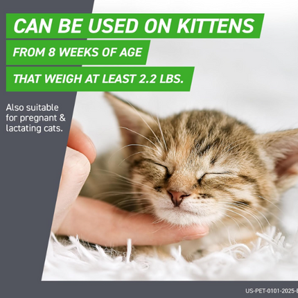 FRONTLINE Plus Flea and Tick Treatment for Cats Over 1.5 lbs. 6 Treatments