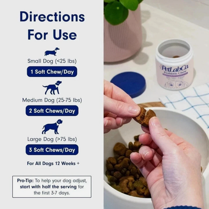 PetLab Co. Probiotic Soft Chews for Allergy & Immune Support – Pork Flavor, 30 Chews for All Dog Sizes