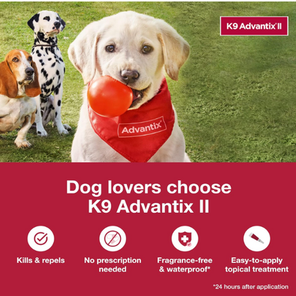 K9 Advantix II Flea & Tick Protection for Medium Dogs | 6-Month Supply