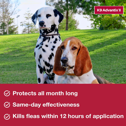 K9 Advantix II Flea & Tick Protection for Medium Dogs | 6-Month Supply