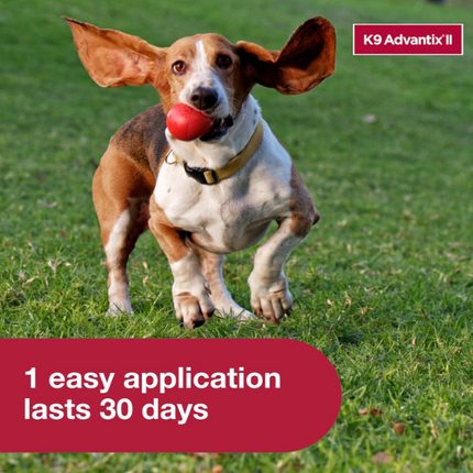 K9 Advantix II Flea & Tick Protection for Medium Dogs | 6-Month Supply