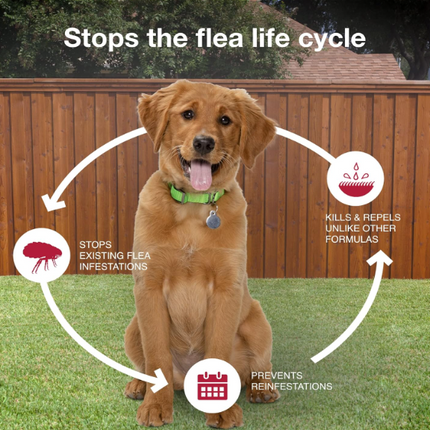 K9 Advantix II Flea & Tick Protection for Medium Dogs | 6-Month Supply