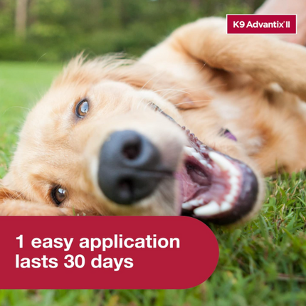 K9 Advantix II Flea & Tick Treatment for Large Dogs | 6-Month Supply