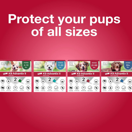 K9 Advantix II Flea & Tick Treatment for Large Dogs | 6-Month Supply