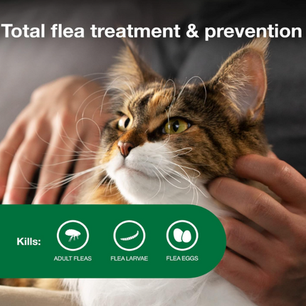 Advantage II Flea Prevention for Large Cats | 6-Month Supply