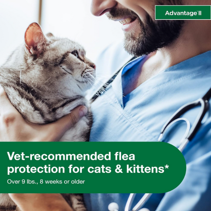 Advantage II Flea Prevention for Large Cats | 6-Month Supply