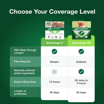 Advantage II Flea Prevention for Large Cats | 6-Month Supply