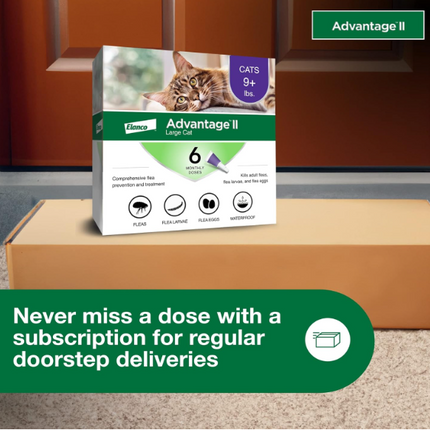 Advantage II Flea Prevention for Large Cats | 6-Month Supply
