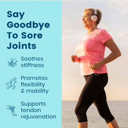 BB Company Provitalize | Probiotics for Women Digestive Health, Menopause, Joint Support | Sexy Midsection Curves, Bloat | Turmeric Curcumin Moringa | Packaging Vary | 60 Ct