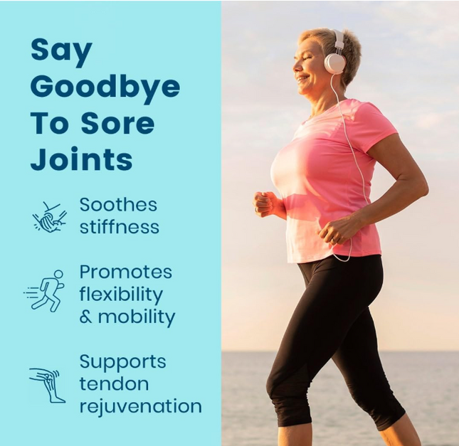 BB Company Provitalize | Probiotics for Women Digestive Health, Menopause, Joint Support | Sexy Midsection Curves, Bloat | Turmeric Curcumin Moringa | Packaging Vary | 60 Ct