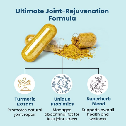 BB Company Provitalize | Probiotics for Women Digestive Health, Menopause, Joint Support | Sexy Midsection Curves, Bloat | Turmeric Curcumin Moringa | Packaging Vary | 60 Ct