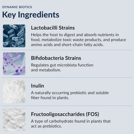 Stonehenge Health Probiotics 55 Billion CFU - 16 Strains, Prebiotic, Synbiotics