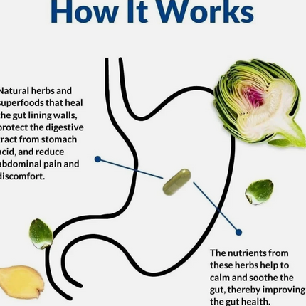 Gut Alive For Restoring Gut Lining - All Natural Support 60 Count